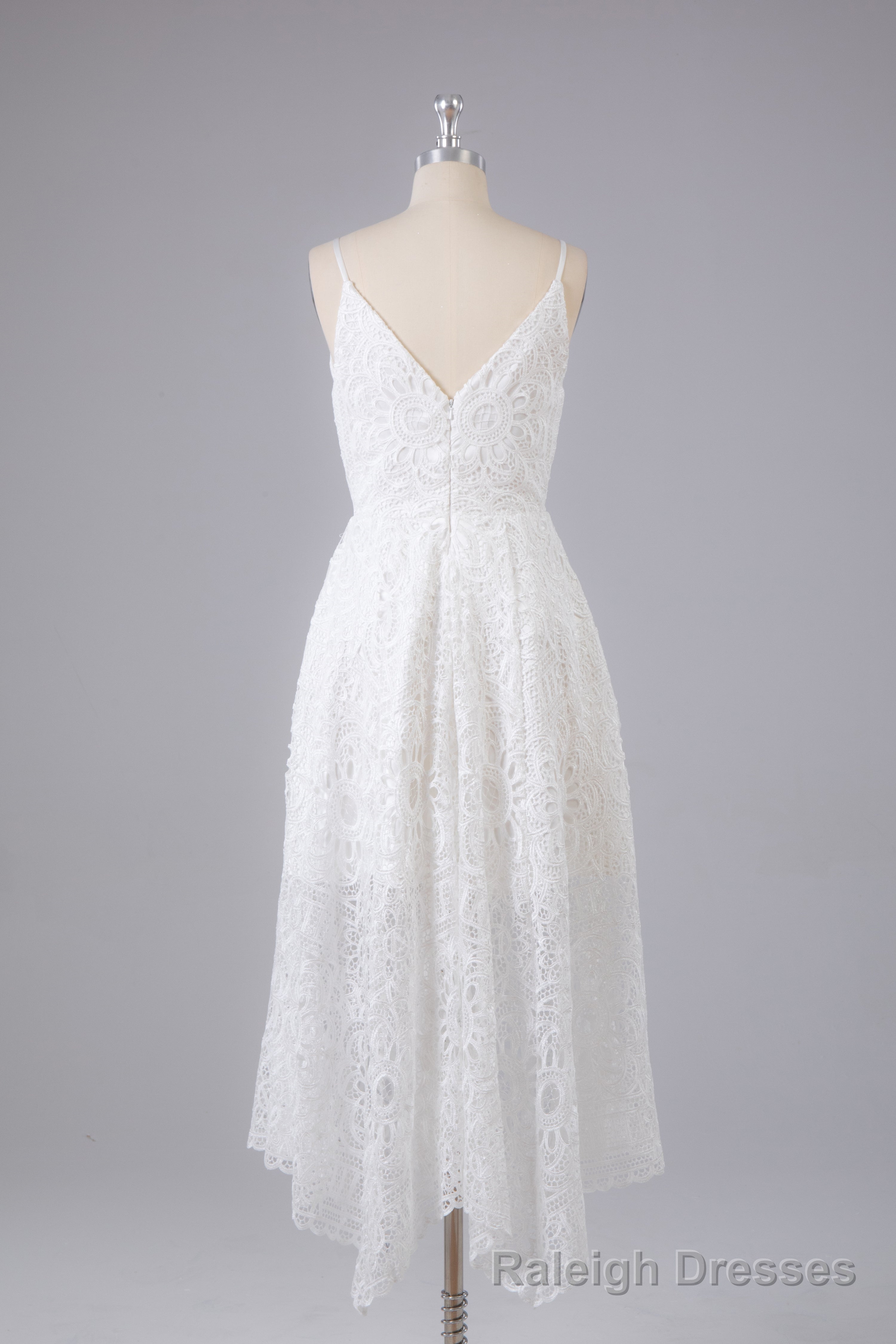 Elegant Spaghetti Straps V Neck Lace Prom Dress Main image