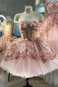Princess Sparkly Sweetheart Prom Dress with 3d Flowers Pink Quinceanera Dress