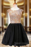 A-line Sleeveless Beaded Crystals Backless Black Homecoming Dresses