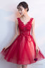 A-Line Tulle Short Prom Dress, V-Neck Lace Mini Party Dress