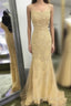Backless Orange Lace Long Prom Dresses Mermaid Orange Lace Prom Dresses