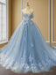 Ball-Gown Off-the-Shoulder Appliques Lace Sweep Train Tulle Dress