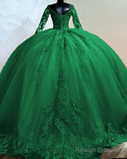 Ball Gown V-Neck Appliques Sleeved Quince Dress