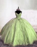 Ball Gowns V-Neck Corset Appliques Dresses