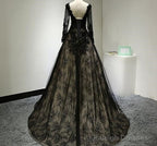 Beautiful Black Long Sleeves Lace Prom Dresses Black Prom Gowns