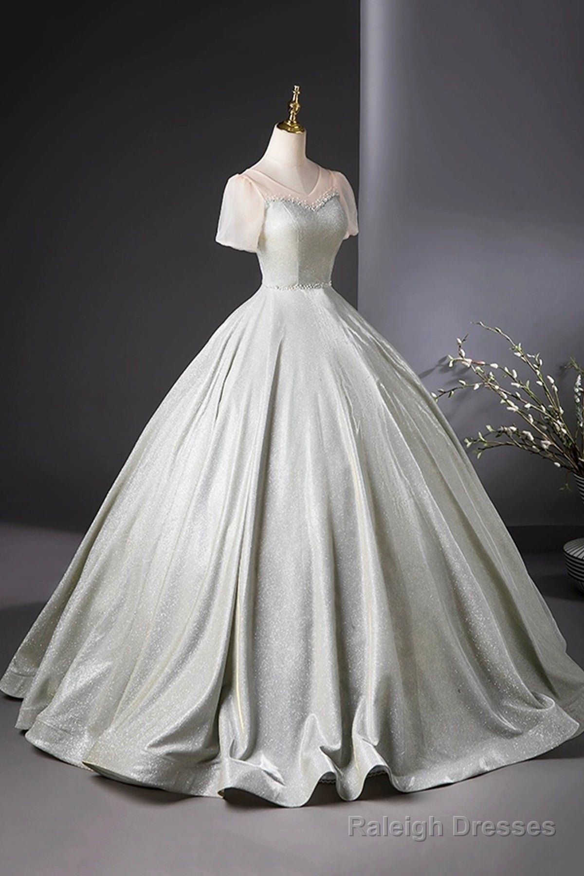 Beautiful Silver Glitter Floor Length Prom Dresses A-Line Short Sleeve Prom Dresses
