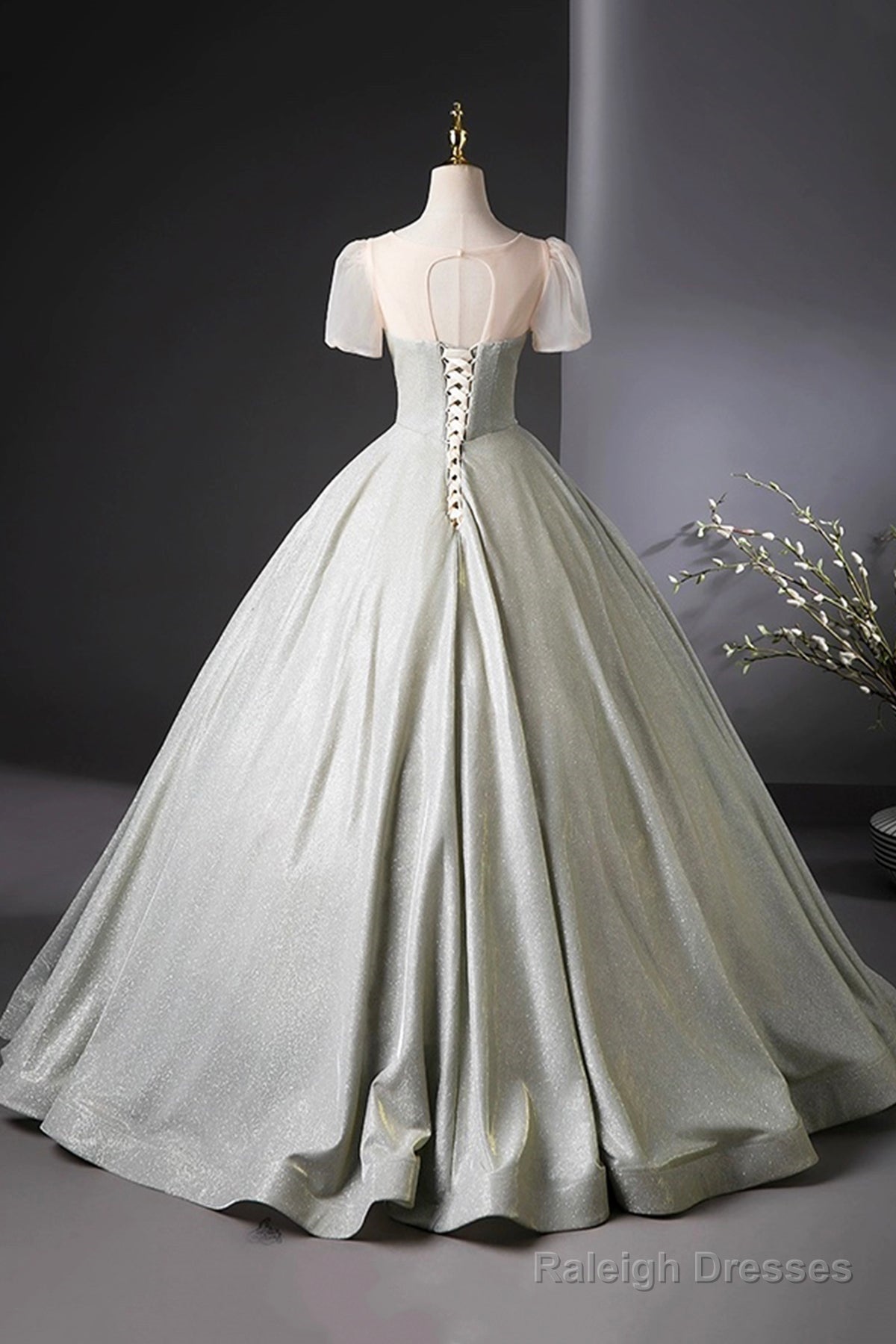Beautiful Silver Glitter Floor Length Prom Dresses A-Line Short Sleeve Prom Dresses