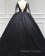 Black Tulle Sheer Neck Appliques Ball Gowns Dress