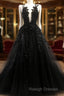 Black V Neck Lace Long Prom Dress A Line Evening Dress
