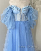 Blue A-Line Midi Tulle Corset Dress With Puffy Sleeves