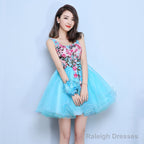Blue Organza Mini Prom Dresses With Embroidery Homecoming Dresses Blue Short Dresses