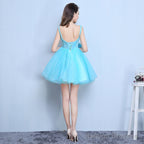 Blue Organza Mini Prom Dresses With Embroidery Homecoming Dresses Blue Short Dresses