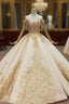 Champagne Ball Gown Tulle Off the Shoulder Lace Appliques Wedding Dress