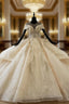 Champagne Ball Gowns Tulle Sequins Cap Sleeve Backless Wedding Dress With Train