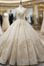 Champagne Ball Gowns V Neck Backless Tulle Appliques With Beaded Wedding Dress