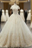 Champagne BallGowns Tulle Appliques Off The Shoulder Wedding Dress