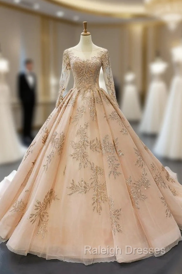 Champagne Gold Ball Gown Tulle Backless Long Sleeve Quinceanera Dresses