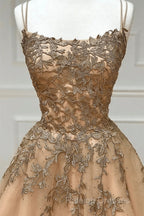 Champagne Lace Tulle Long Prom Dress Formal Evening Dress Ball Gown