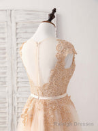 Champagne Round Neck Tulle Lace Applique Long Prom Dress