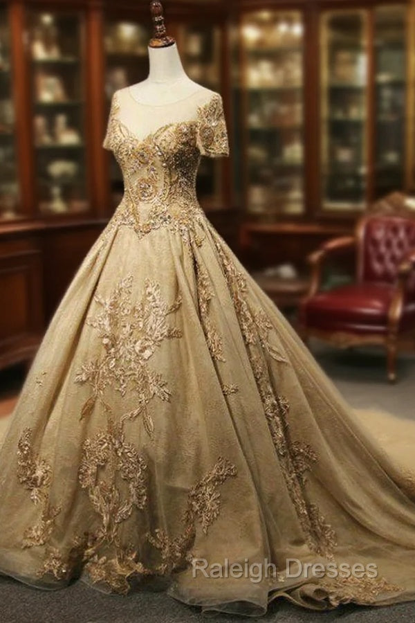 Champagne Tulle Embroidery Short Sleeve Backless Haute Couture Wedding Dress Main image