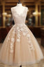 Champagne Tulle Lace Applique Short Prom Dress, Homecoming Dress
