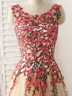 Champagne Tulle Long Prom Dress Lace Applique Evening Dress