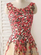 Champagne Tulle Long Prom Dress Lace Applique Prom Dress
