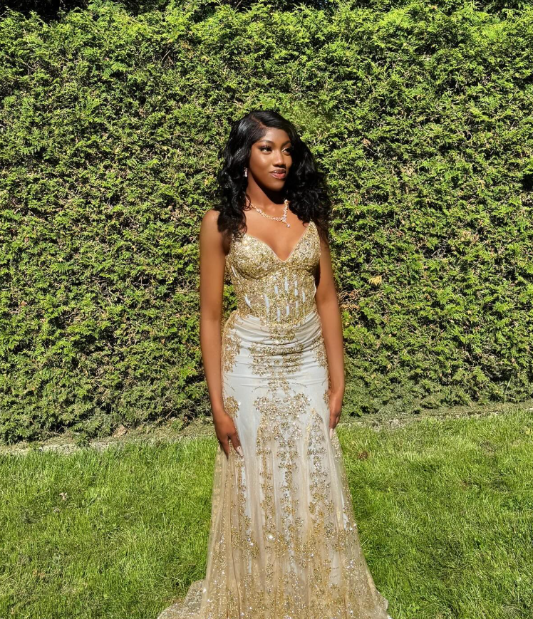 Charming V Neck Lace Mermaid Prom Dresses Long Prom Dresses