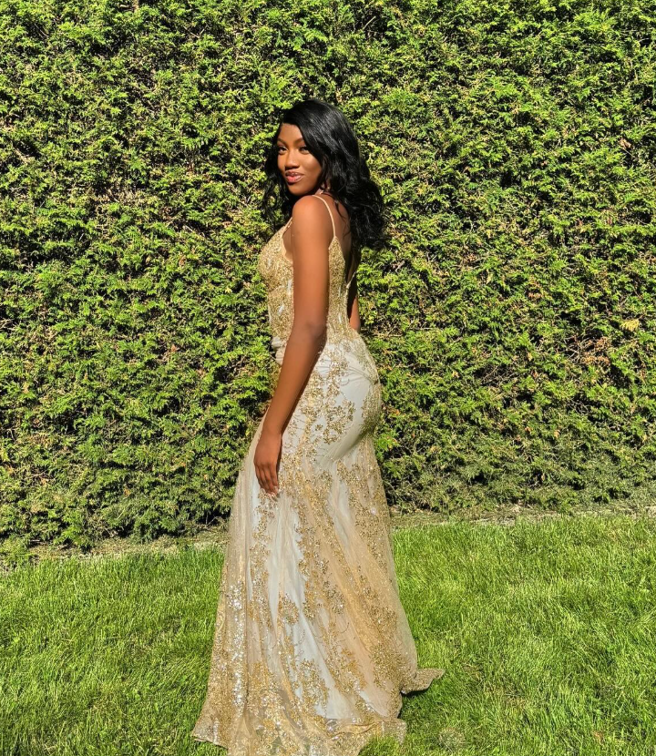 Charming V Neck Lace Mermaid Prom Dresses Long Prom Dresses