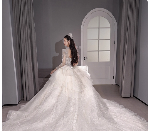 Chic A-Line Long Wedding Dress Tulle White Bridal Gown Long Sleeves Bridal Dress