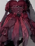 Chic High Low Halter Burgundy Organza Prom Dress Birthday Outfits