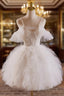 Cute Tulle Lace Light Champagne Short Prom Dresses Cut Homecoming Dresses