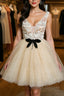 Cute V Neck Short Champagne Lace Prom Dresses with Beading Short Champagne Lace Prom Graduation Homecoming Dresses
