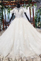 Elegant Ball Gowns Big Wedding Dress Appliques Bridal Dresses With Short Sleeves