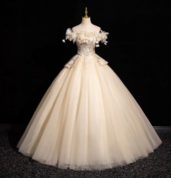 Elegant Champagne One-Shoulder 3D Floral Tulle Long Ball Gown Prom Dress Sweet 16 Dress