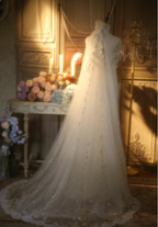 Elegant Ivory Strapless Beaded Floral Tulle Train Long Formal Prom Dress