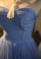 Elegant Light Blue A-Line Sweetheart Neckline Lace Tulle Long Formal Prom Dress