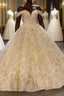 Elegant Long Ball Gown Off the shoulder Tulle Lace Wedding Dresses