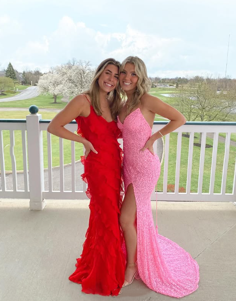 Elegant Mermaid Sequin Pink Prom Dress Long Prom Dresses