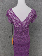 Elegant Purple V-Neck Lace Long Formal Prom Dress