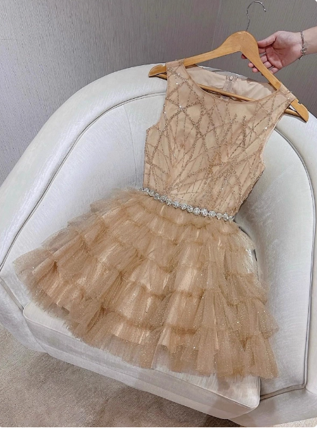 Elegant Round Neck Champagne Tulle Cake Birthday Short Skirt Homecoming Dress Main image