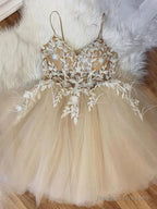 Elegant Spaghetti Straps A-Line Tulle Applique Short Homecoming Dresses Online,