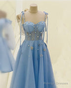 Fairy Blue A-Line Corset Midi Dresses