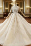 Fashion Dark Champagne Tulle Sequins Beading Wedding Dress With Train