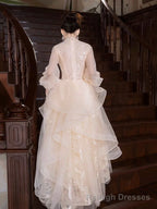 Champagne Tulle Long Sleeve Evening Party Dress