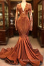 Gorgeous Mermaid V-neck Long Sleevess Prom Dresses