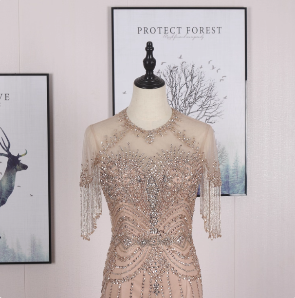 Gorgeous Nude Pink Mermaid Crew Neck Fringed Sleeve Beaded Tulle Train Formal Prom Dress