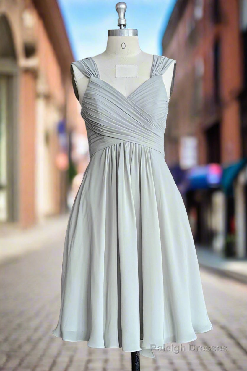 Grey A-Line Pleated Chiffon Bridesmaid Dresses Main image