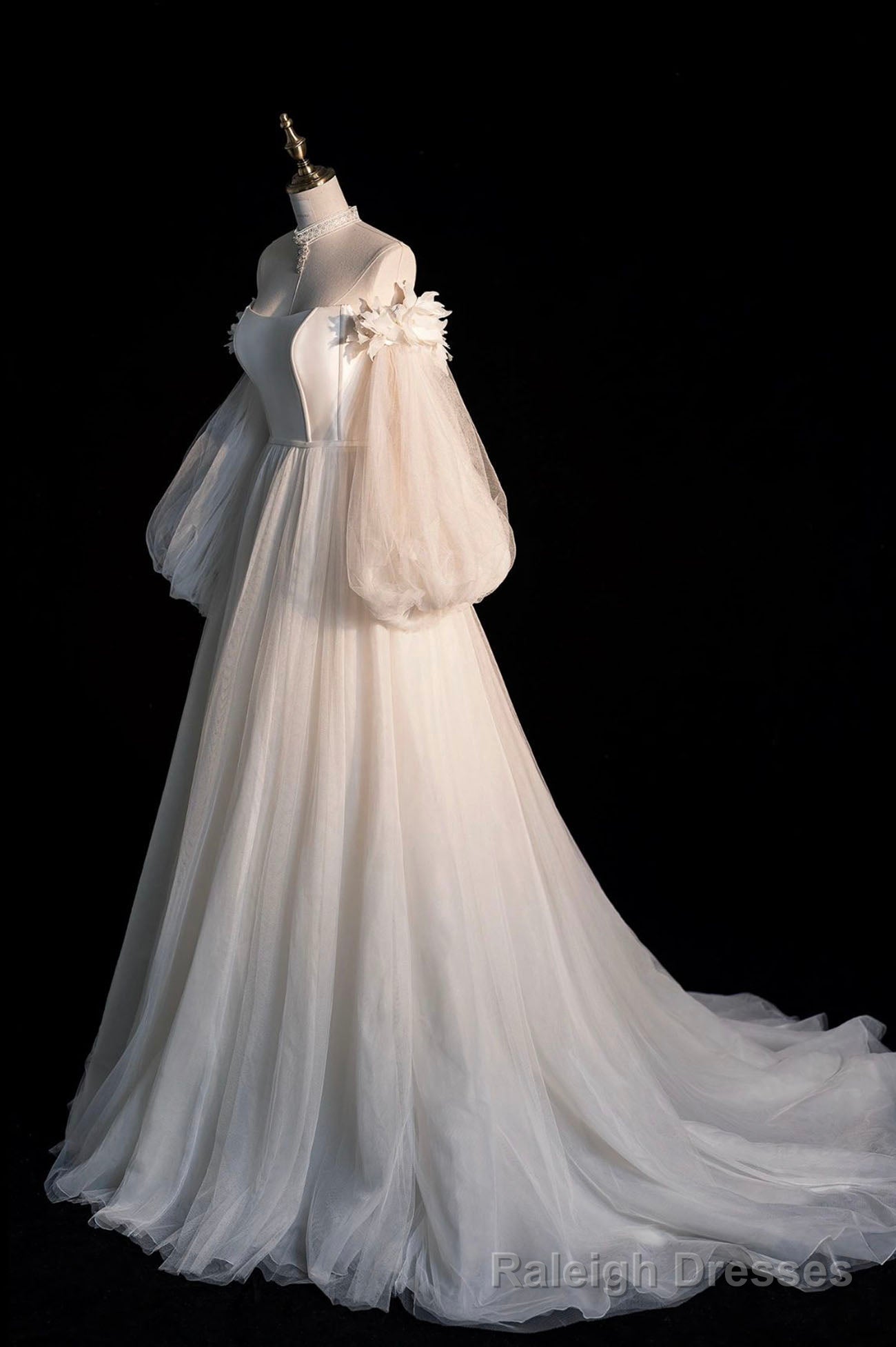 Champagne Tulle Long Sleeve Prom Dress, Off the Shoulder Evening Dress Secondary image