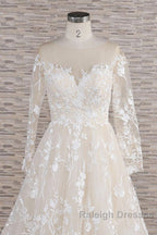 Long A-line Sweetheart Applqiues Tulle Wedding Dress with Sleeves